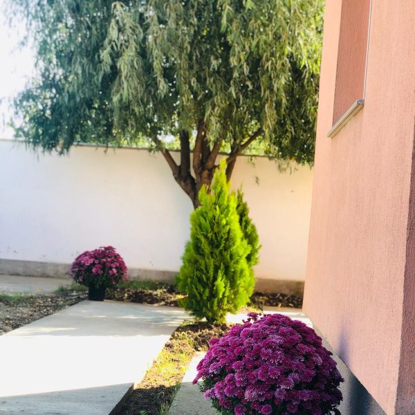 WhatsApp Image 2022-10-08 at 08.45.20 (3)