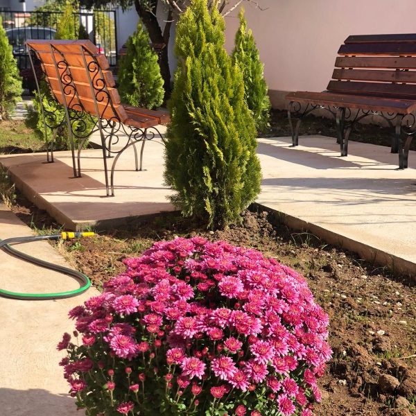 WhatsApp Image 2022-10-08 at 08.45.20