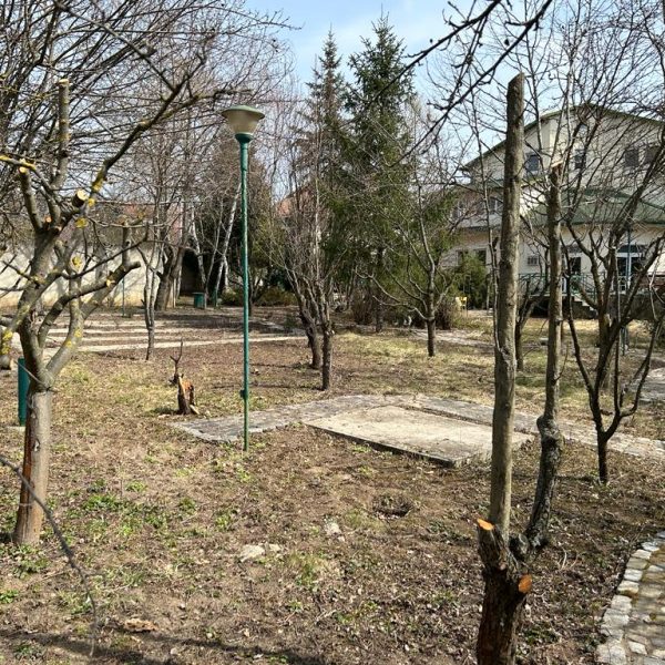 WhatsApp Image 2023-03-20 at 12.26.36 (1)