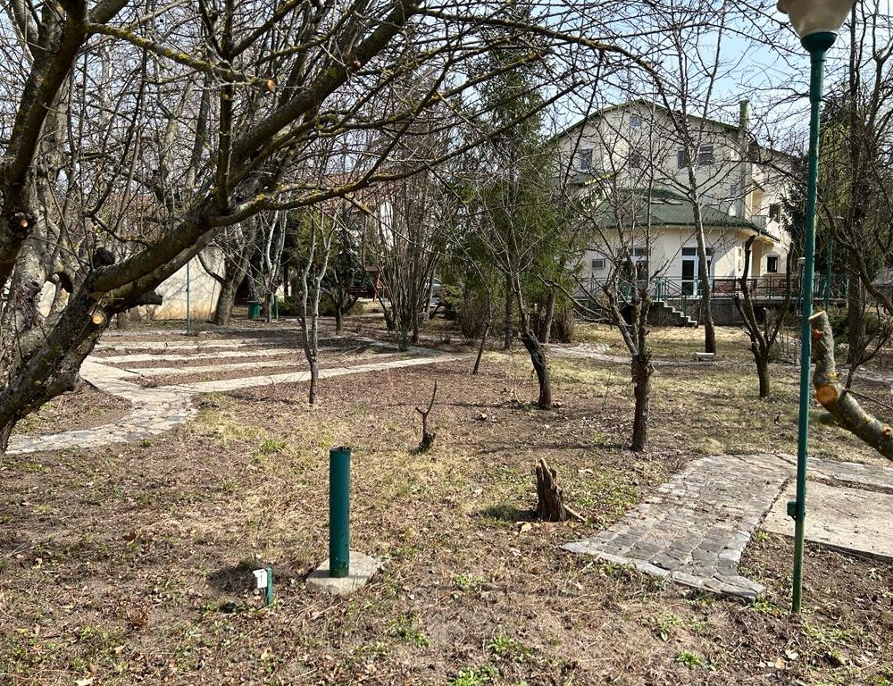 WhatsApp Image 2023-03-20 at 12.26.36