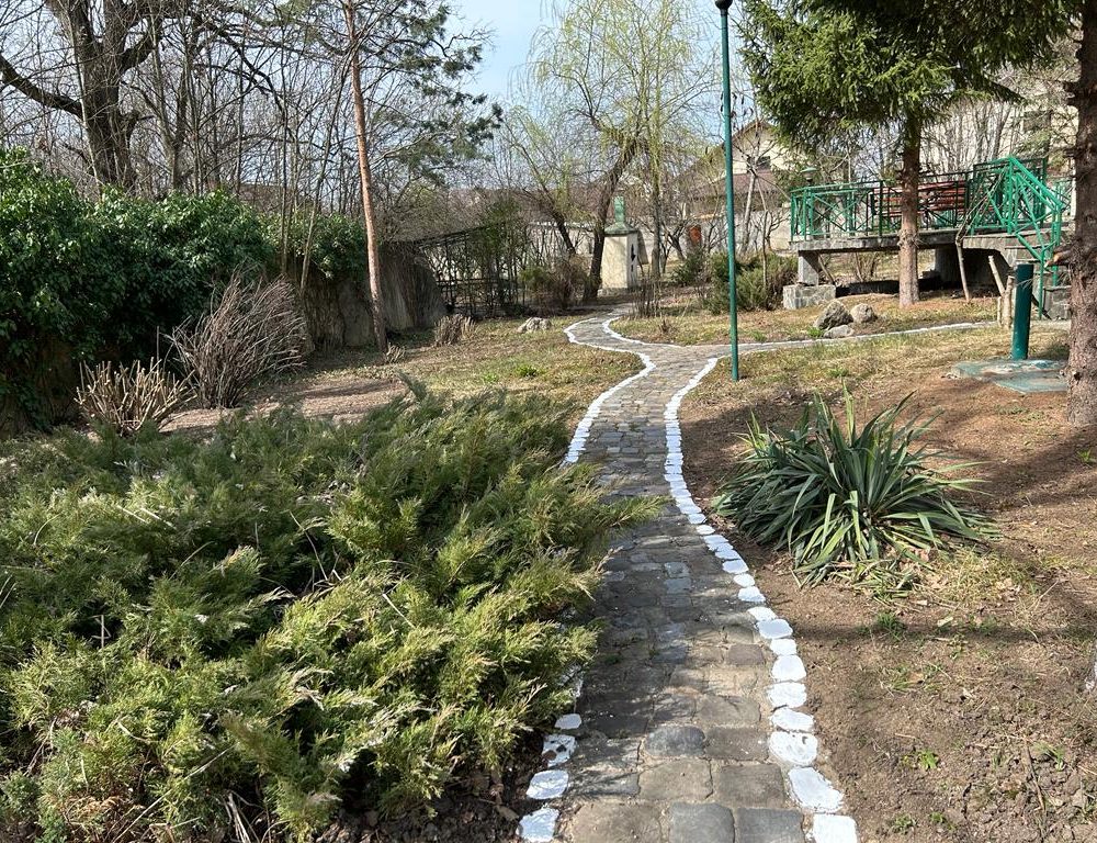 WhatsApp Image 2023-03-20 at 12.26.36 (5)