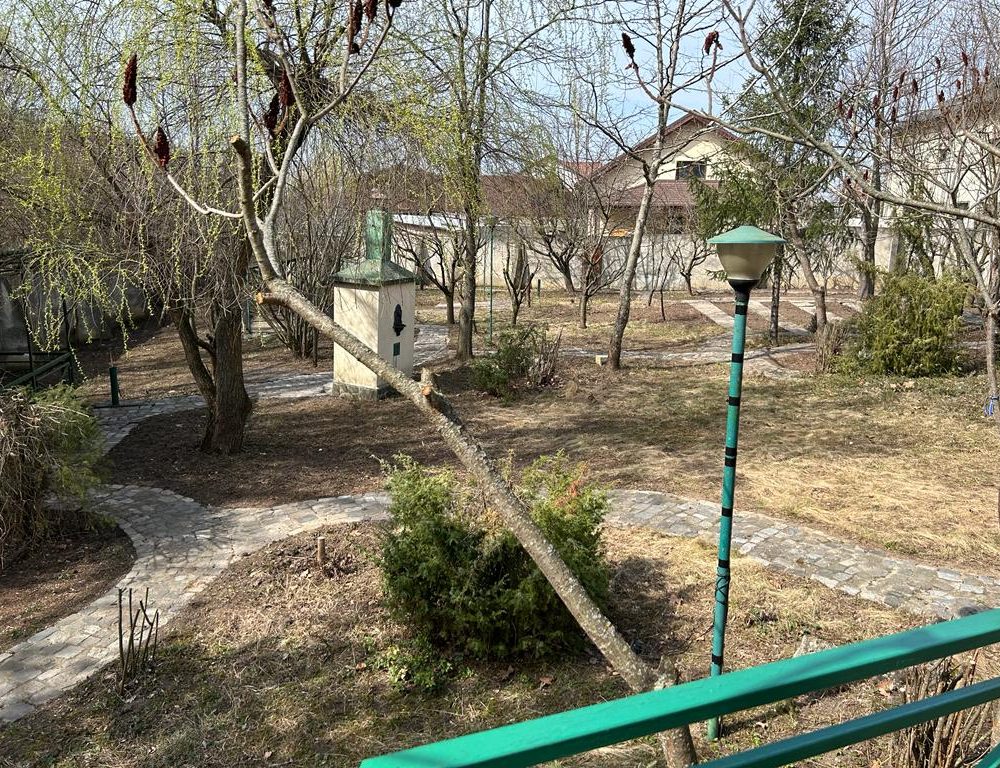 WhatsApp Image 2023-03-20 at 12.26.36 (7)