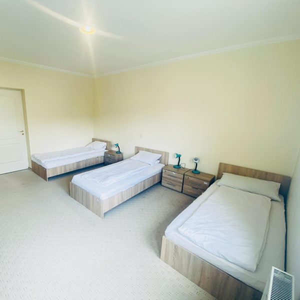 345195096_776686957292059_4236701855195400176_n