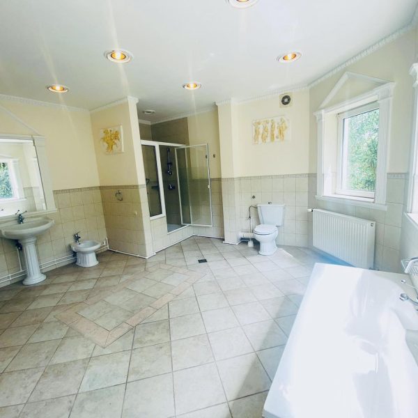 345249395_1856107891426806_4336842321373107263_n