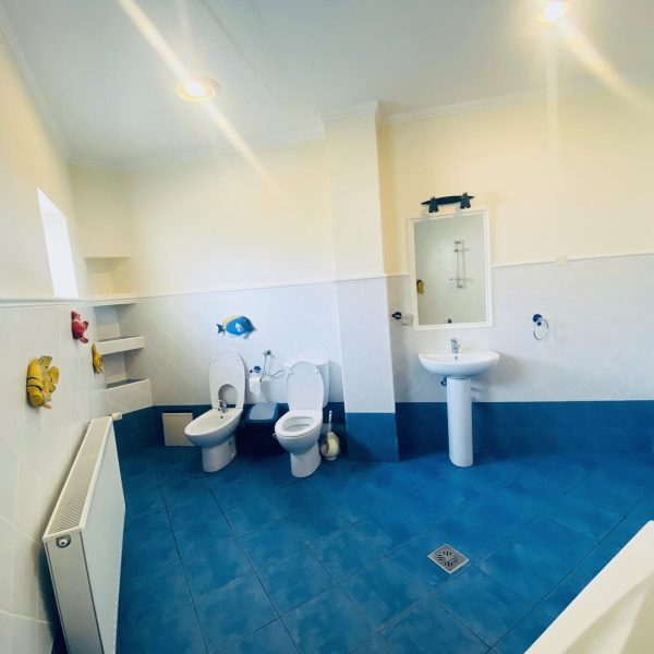 345270435_1577241182801399_399922140671666680_n