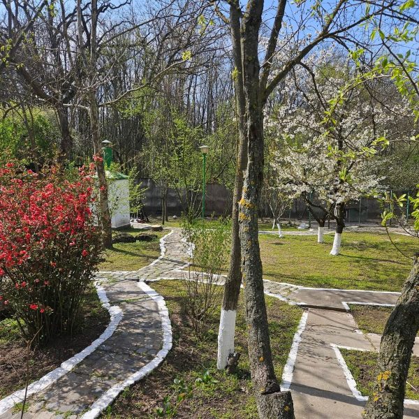 WhatsApp Image 2026-04-21 at 11.35.57 (1)